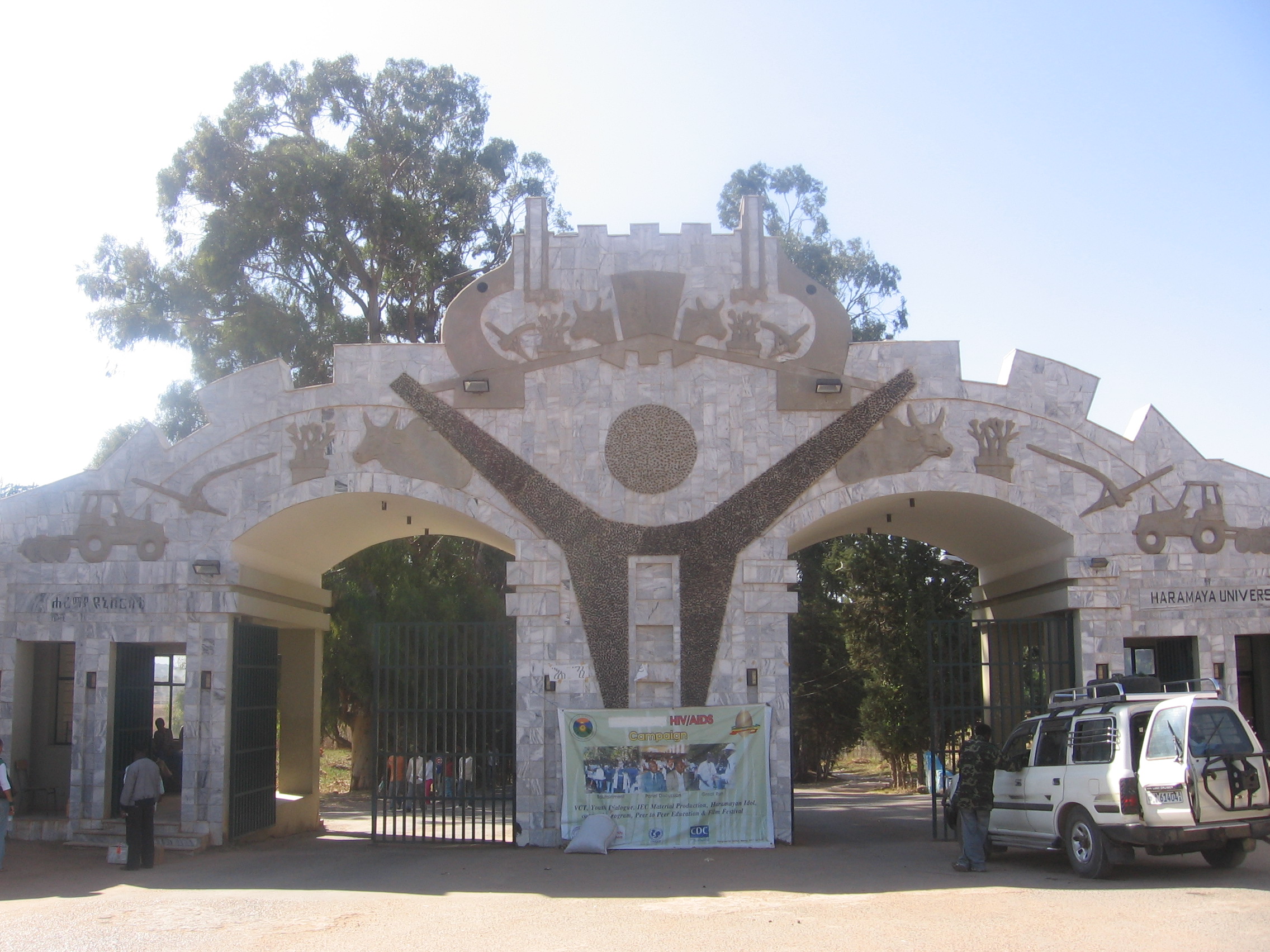 Alemeya Gate 2008